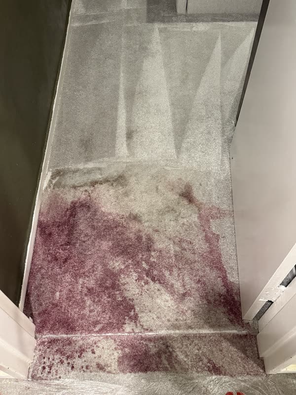 Before: light grey hallway carpet with a large purple dye stain spread across the floor