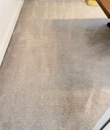 After: the living-room carpet cleaned with fresh, even pile