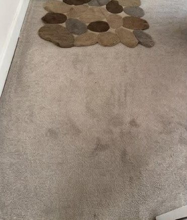 Before: living-room carpet with a pebble rug and dull, grubby patches