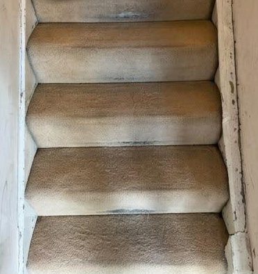 After: the same stair carpet with the dark traffic marks lifted